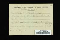 Suillus americanus image