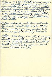 Image Associated With the Occurrence