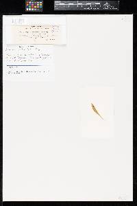 Image Associated With the Occurrence