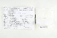Thumbnail image of current specimen