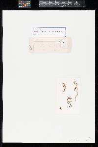 Image Associated With the Occurrence