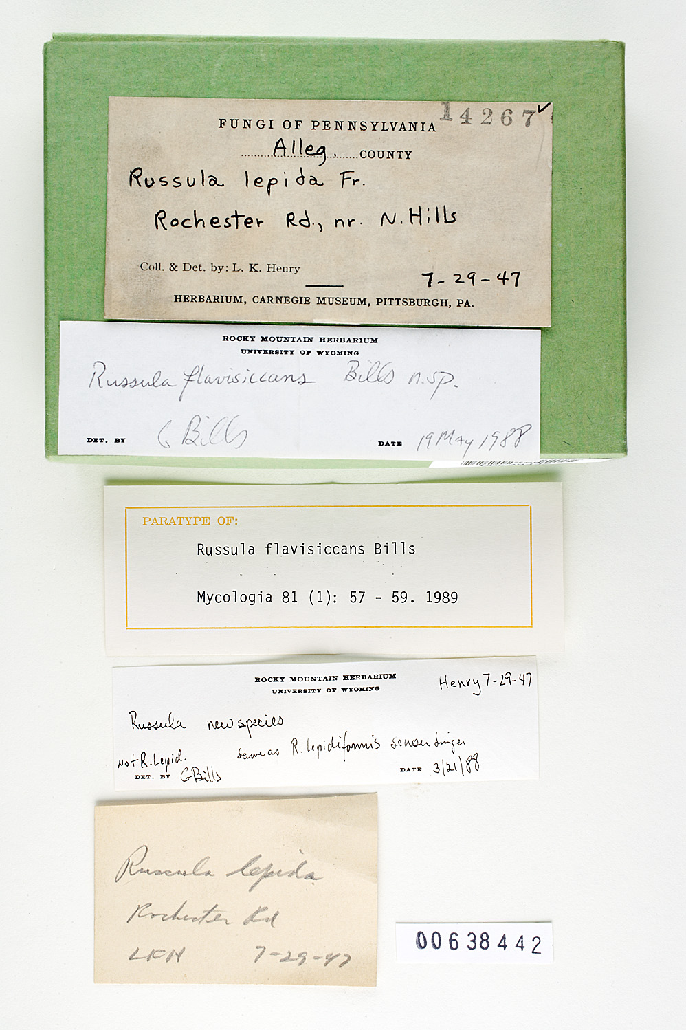 Russula flavisiccans image