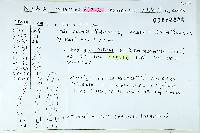 Thumbnail image of current specimen