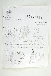 Thumbnail image of current specimen