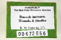 Russula imitatrix image