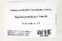 Thumbnail image of current specimen