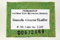 Thumbnail image of current specimen