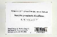 Thumbnail image of current specimen
