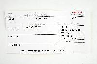 Thumbnail image of current specimen