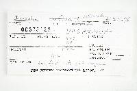 Thumbnail image of current specimen