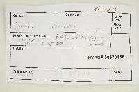 Thumbnail image of current specimen