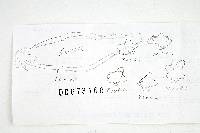 Thumbnail image of current specimen