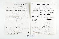 Trametes modesta image