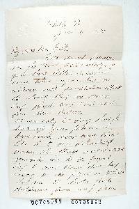 Cyphella subcyanea image