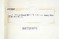 Earliella scabrosa image