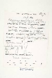 Polyporus guianensis image