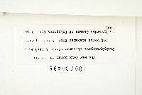 Pachykytospora alabamae image