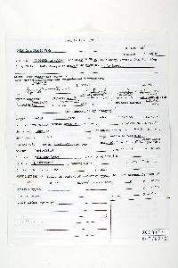 Bjerkandera adusta image