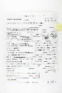 Polyporus crispellus image