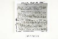 Polyporus crispellus image