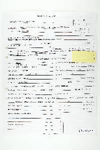 Polyporus crispellus image