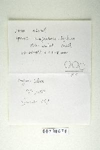 Phylloporia pectinata image