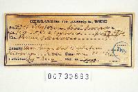 Leptoporus mollis image