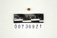 Thumbnail image of current specimen