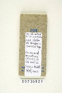 Thumbnail image of current specimen