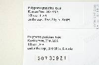 Thumbnail image of current specimen