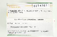 Thumbnail image of current specimen