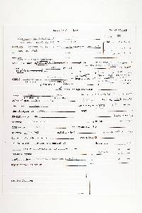 Polyporus philippinensis image