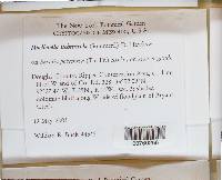 Image Associated With the Occurrence