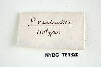 Thumbnail image of current specimen