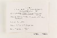 Hygrophorus fibrillosus image