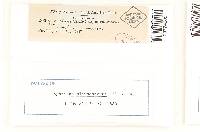 Thumbnail image of current specimen