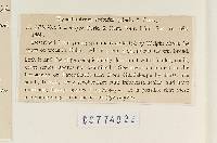 Agaricus scobifer image