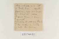 Agaricus scobifer image