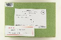 Thumbnail image of current specimen