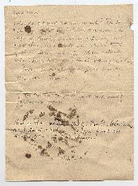 Thumbnail image of current specimen