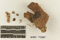 Image Associated With the Occurrence