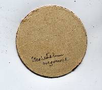 Geopetalum oregonense image