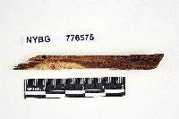 Image Associated With the Occurrence