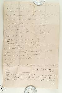 Hydnellum suaveolens image