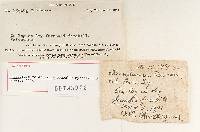 Thumbnail image of current specimen