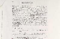 Thumbnail image of current specimen