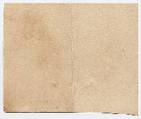 Hebeloma farinaceum image