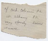 Hebeloma sericipes image