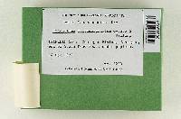 Tricholoma fulvimarginatum image