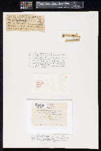 Image Associated With the Occurrence